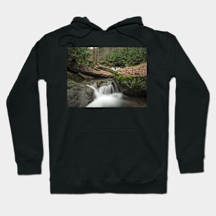 Lower Coal Run Hoodie